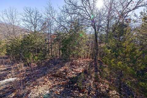 Lot 5 Terrace Drive, Ridgedale, MO 65739