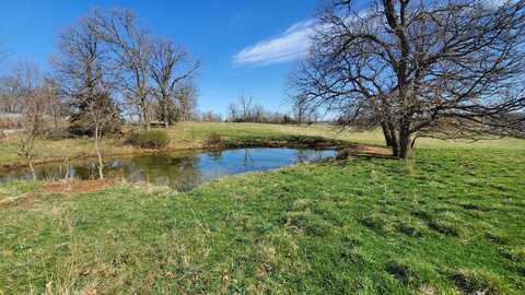 Lot 1 N Farm Road 61, Walnut Grove, MO 65770