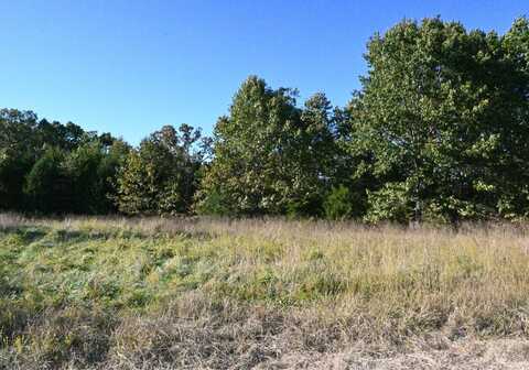 Lot 1 Stoney Point Circle, Shell Knob, MO 65747