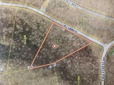 Lot 47 Summitt Lane, Cape Fair, MO 65624