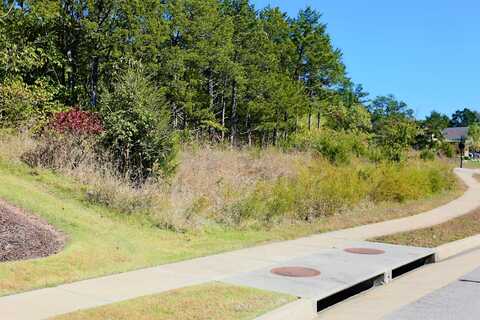 Lot 54 Bayhill Court, Branson, MO 65616