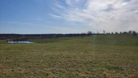 Lot 2 N Farm Road 61, Walnut Grove, MO 65770