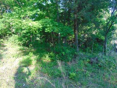 Lot 16 Lakewood Road, Branson, MO 65616