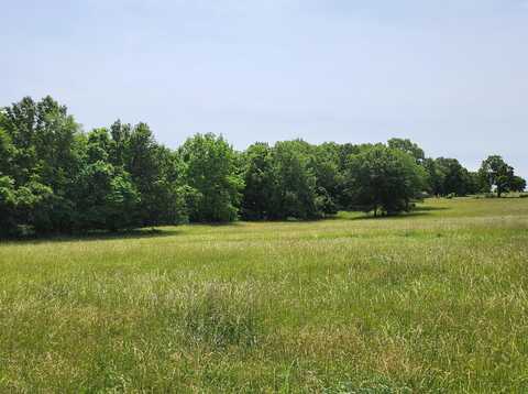 Lot 12 N Farm Road 61, Walnut Grove, MO 65770