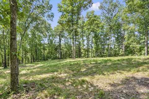 Lot 19 Mccord Bend Road, Galena, MO 65656