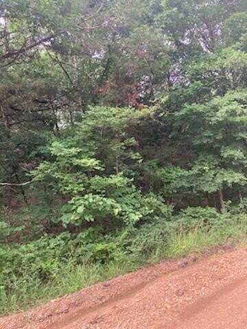 Lot 27 Larchwood, Diamond City, AR 72630