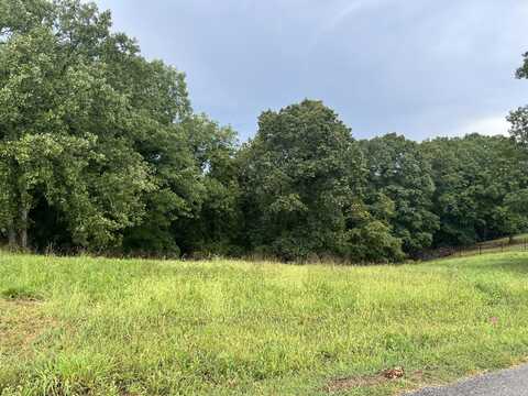 123 Panorama Drive, Cape Fair, MO 65624