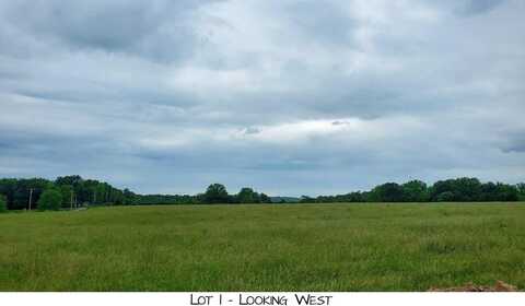 Lot 1 Prairie View Rd, Brighton, MO 65617