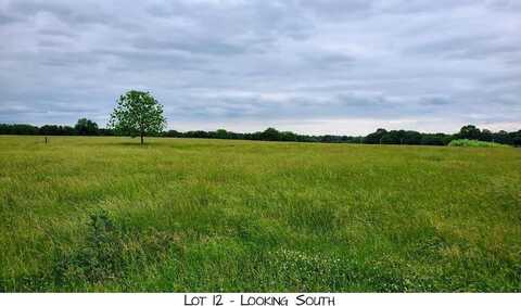 Lot 12 Prairie View Rd, Brighton, MO 65617