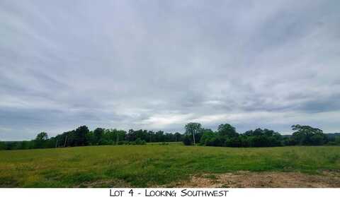 Lot 4 Pleasant View Rd, Brighton, MO 65617