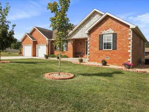 2321 Alley Springs Drive, West Plains, MO 65775