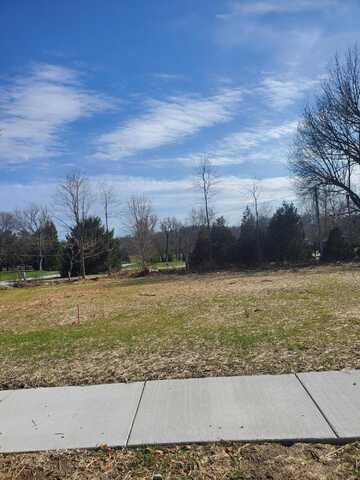 Lot 3 Vintage Pointe, Springfield, MO 65809