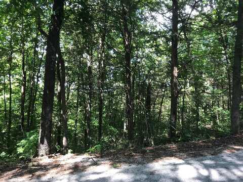 Lot 235 Skylee Circle, Hollister, MO 65672