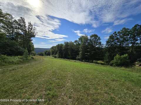 Traver Hill Rd Lot # 7, Friendsville, PA 18818