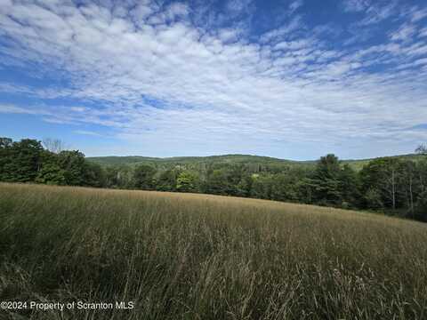 Traver Hill Rd Lot # 1, Friendsville, PA 18818