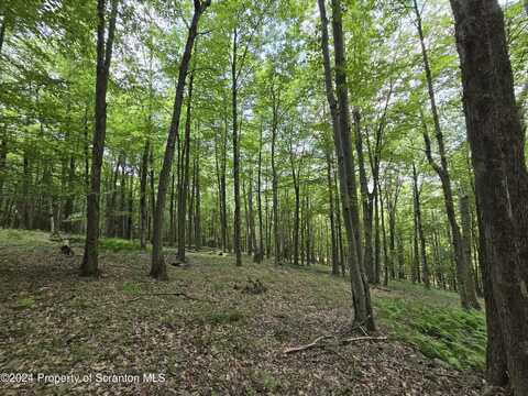 Traver Hill Rd Lot # 2, Friendsville, PA 18818