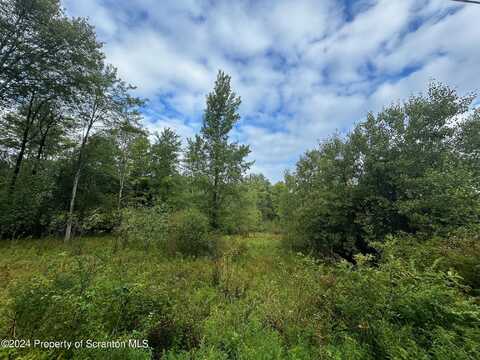 Gravel Pond Road, Glenburn, PA 18411