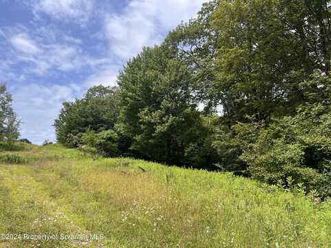 470 Scenic View Drive, Union Dale, PA 18470