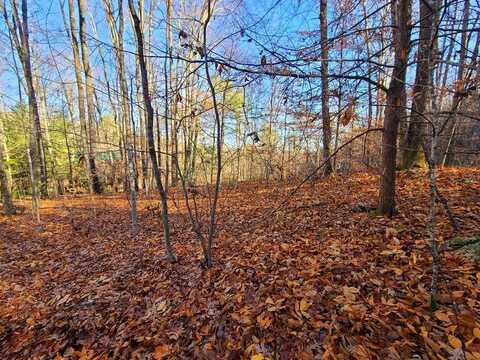 Lot 9 Walden Flats Way, Sevierville, TN 37862