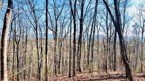 SUMMIT TRAILS Drive, Sevierville, TN 37862