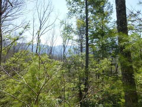 Lot 24 & 2 Sonshine Ridge Rd 24 & 25, Cosby, TN 37722