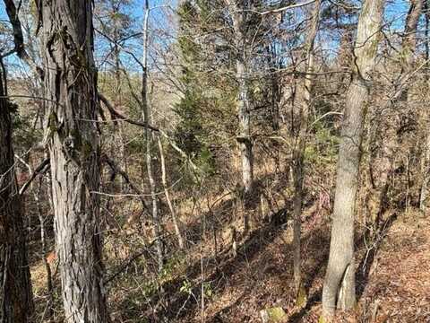 Lot 71 Happy Hollow Lane Lane, Sevierville, TN 37876