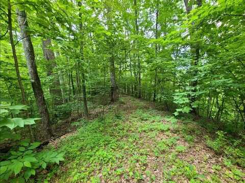 Lot 28 Sonshine Ridge Road, Cosby, TN 37722