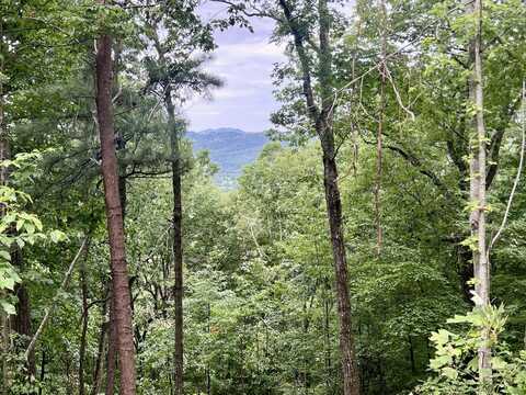 Lot 10 Ravens Den Way, Sevierville, TN 37862