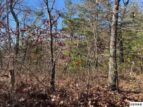 Lot 71 Poplar Place, Sevierville, TN 37876