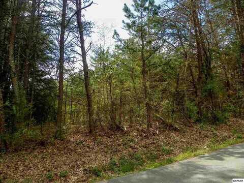 Lot 9 Rail Hill Lane, Sevierville, TN 37876