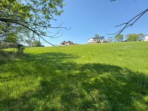 1909 Buck Hollow Road, New Market, TN 37820