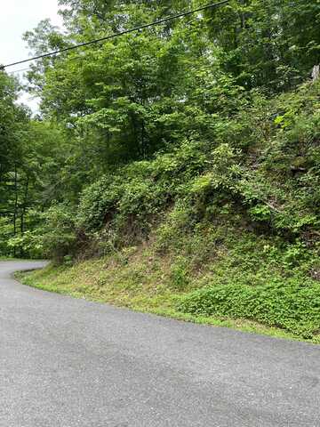 Lot 0006 Wildcat Ridge Road, Sevierville, TN 37862