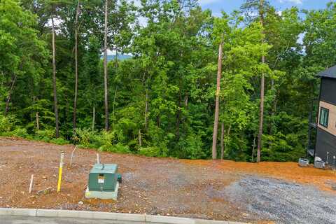 Lot 24 Reedmont Way, Sevierville, TN 37876