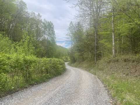 Lot 6 Talley road, Parrottsville, TN 37843