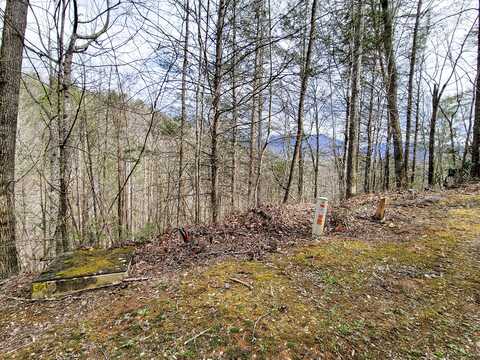 Lot 39 Riversong Way, Sevierville, TN 37876