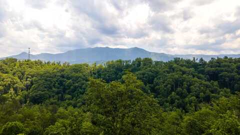 Lot 275 Sourwood Drive, Gatlinburg, TN 37738