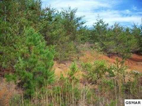 Lot 12 McGaha Chapel Rd Road, Cosby, TN 37722