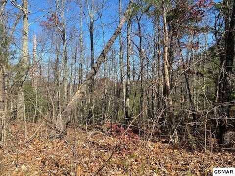 Lot 127a Azalea Trail, Sevierville, TN 37876