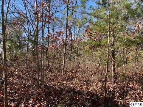 Lot 69 Poplar Place, Sevierville, TN 37876