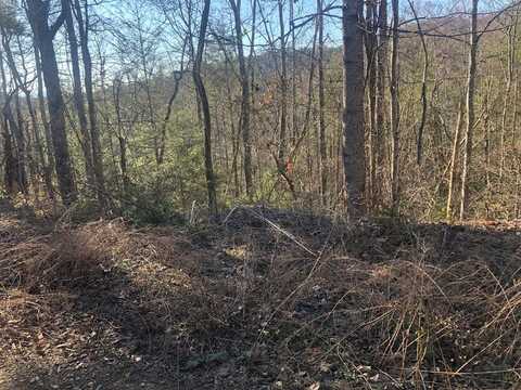 Lot 53 Butternut Lane, Sevierville, TN 37876