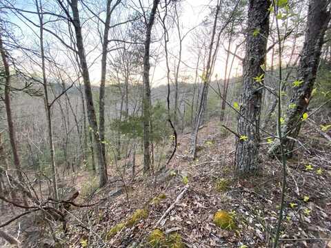 Lot 46 Beechwood Street, Sevierville, TN 37876