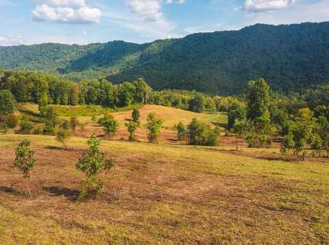 War Creek Road, Eidson, TN 37731