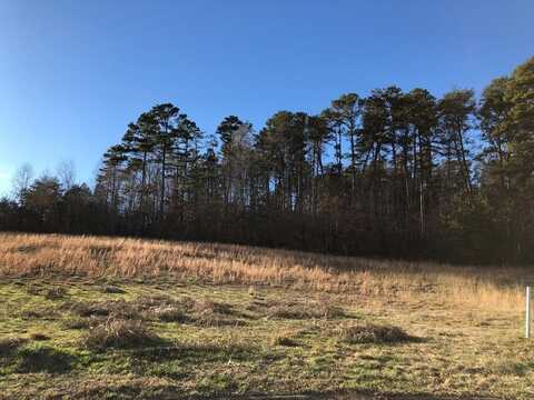 Berkley Court, Seymour, TN 37865