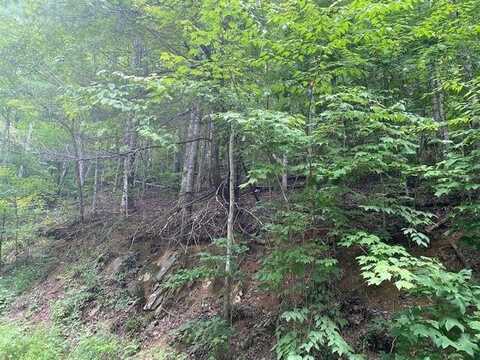 Lot 1302 Balsam Circle, Sevierville, TN 37876