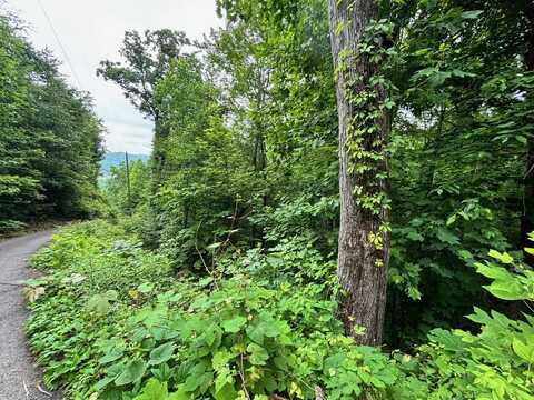 Lot 5 High Ridge Way, Sevierville, TN 37862