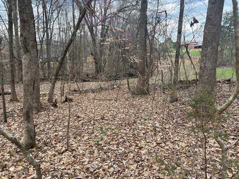 Lot# 15 Delainey Drive, Kodak, TN 37764