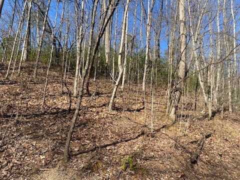 Lot 1765r Red Bud Road, Sevierville, TN 37876