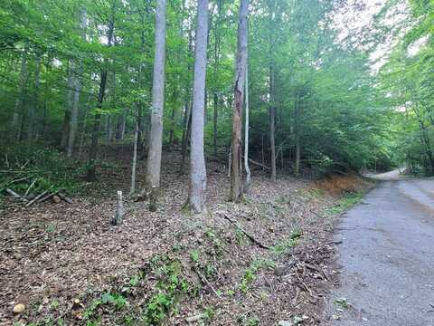 Lot 13 Cara Way, Cosby, TN 37722