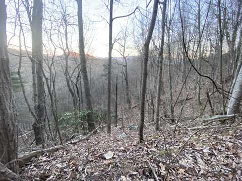 Lot 36 Elderberry Drive, Sevierville, TN 37876