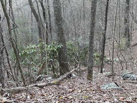 Lot 35 Elderberry Drive, Sevierville, TN 37876